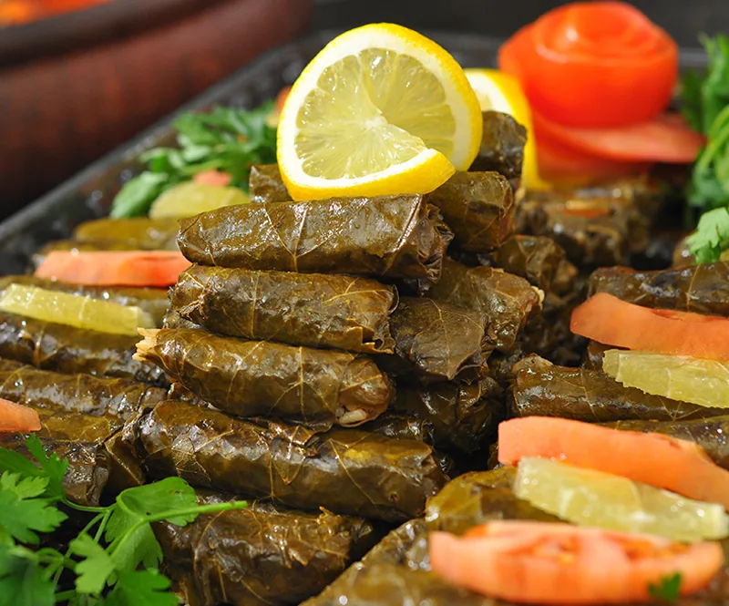Zeytinyağlı